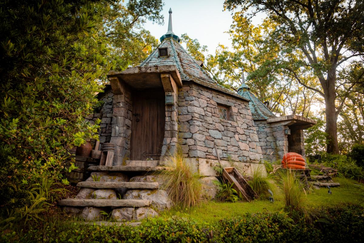 Flight of the Hippogriff