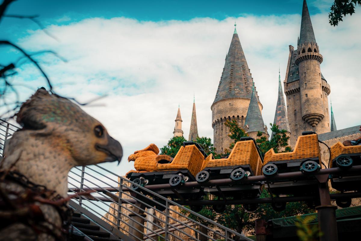Flight of the Hippogriff