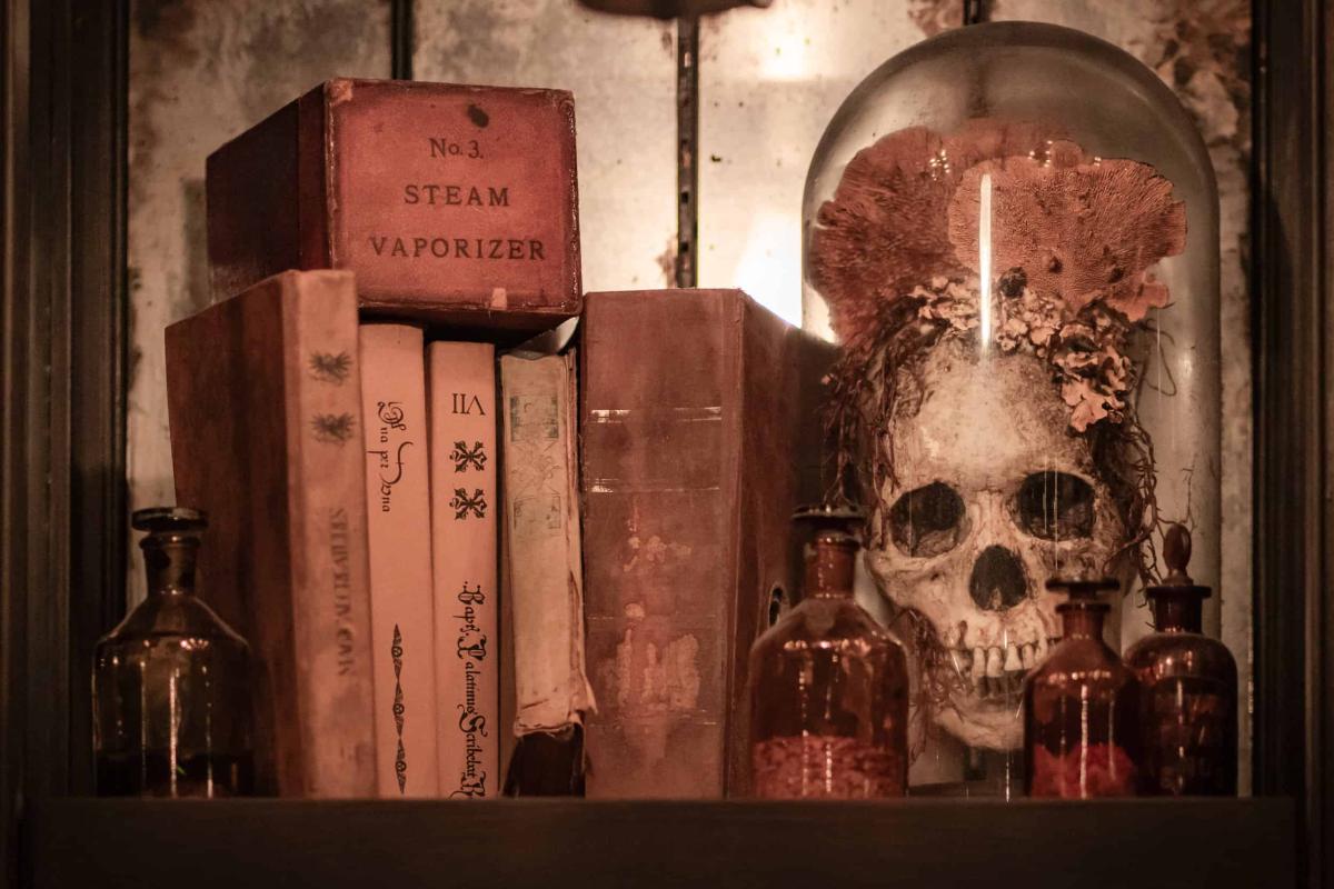 Borgin and Burkes