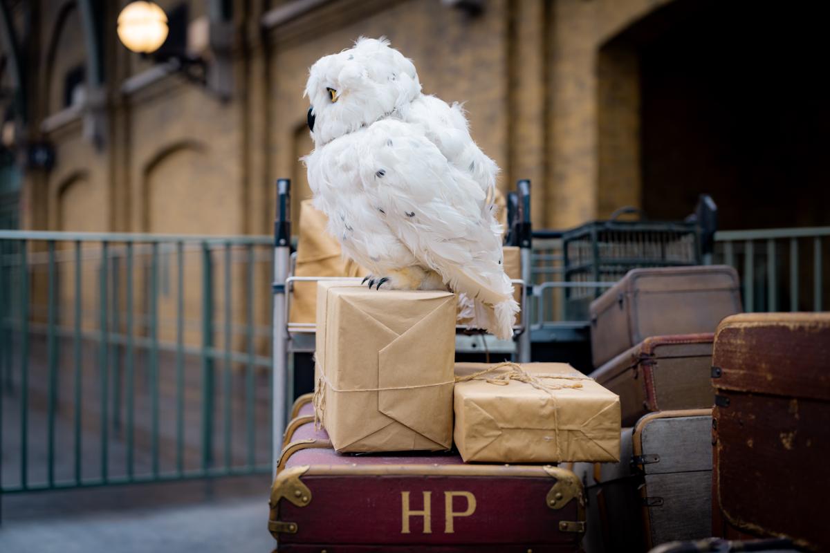 Hogwarts Express